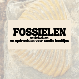 Fossielen thema bundel