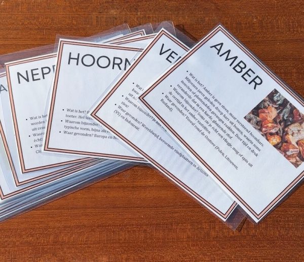 thema FOSSIELEN - Afbeelding 6