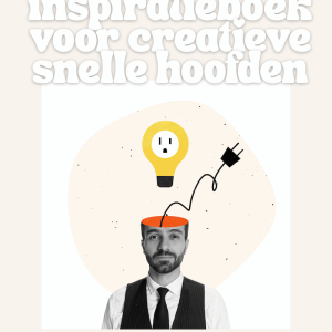 snelle hoofden werkboek